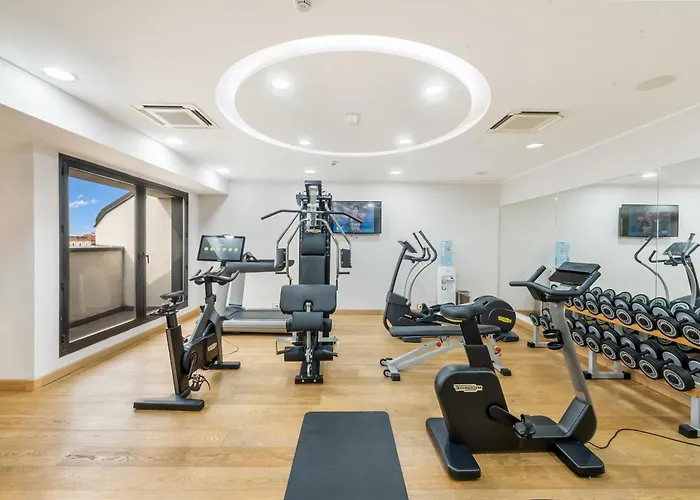 纳维吉利艺术酒店 4* 米兰